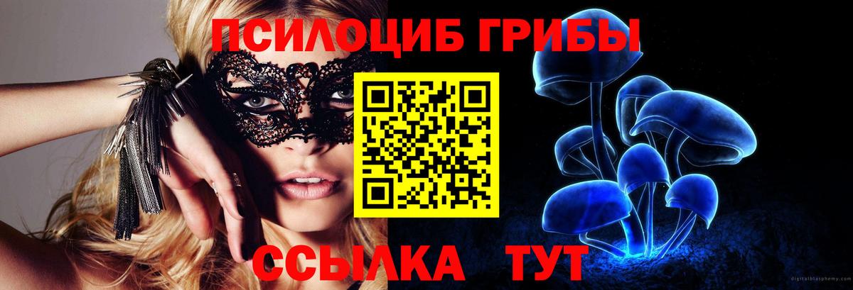 Псилоцибиновые грибы MAGIC MUSHROOMS  Псилоцибиновые грибы мухоморы  Губкин  Вход с VPN 