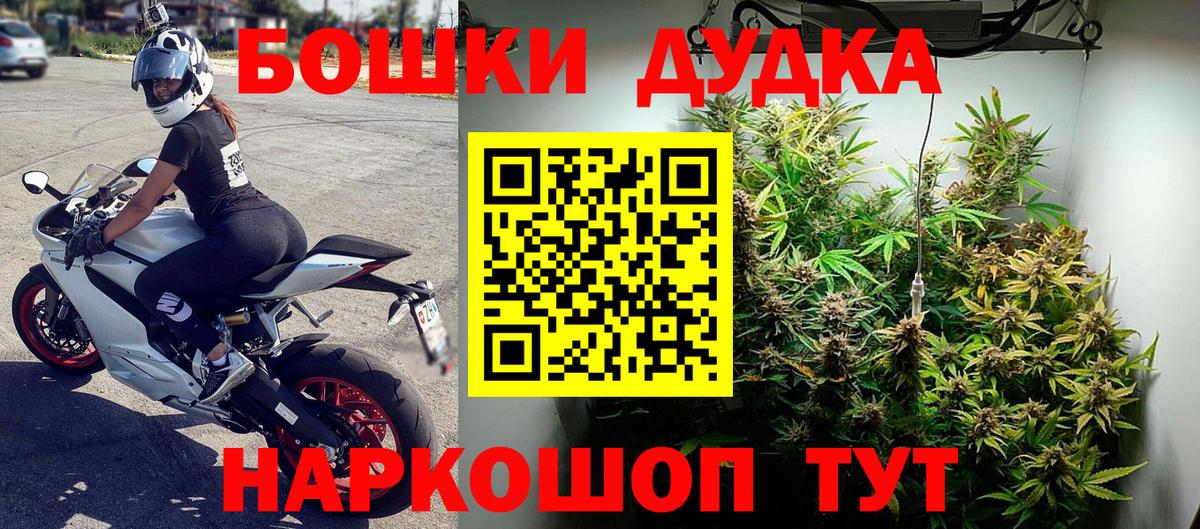 Губкин  Каннабис гибрид  Бошки Шишки OG Kush  Каннабис план  Вход с VPN 